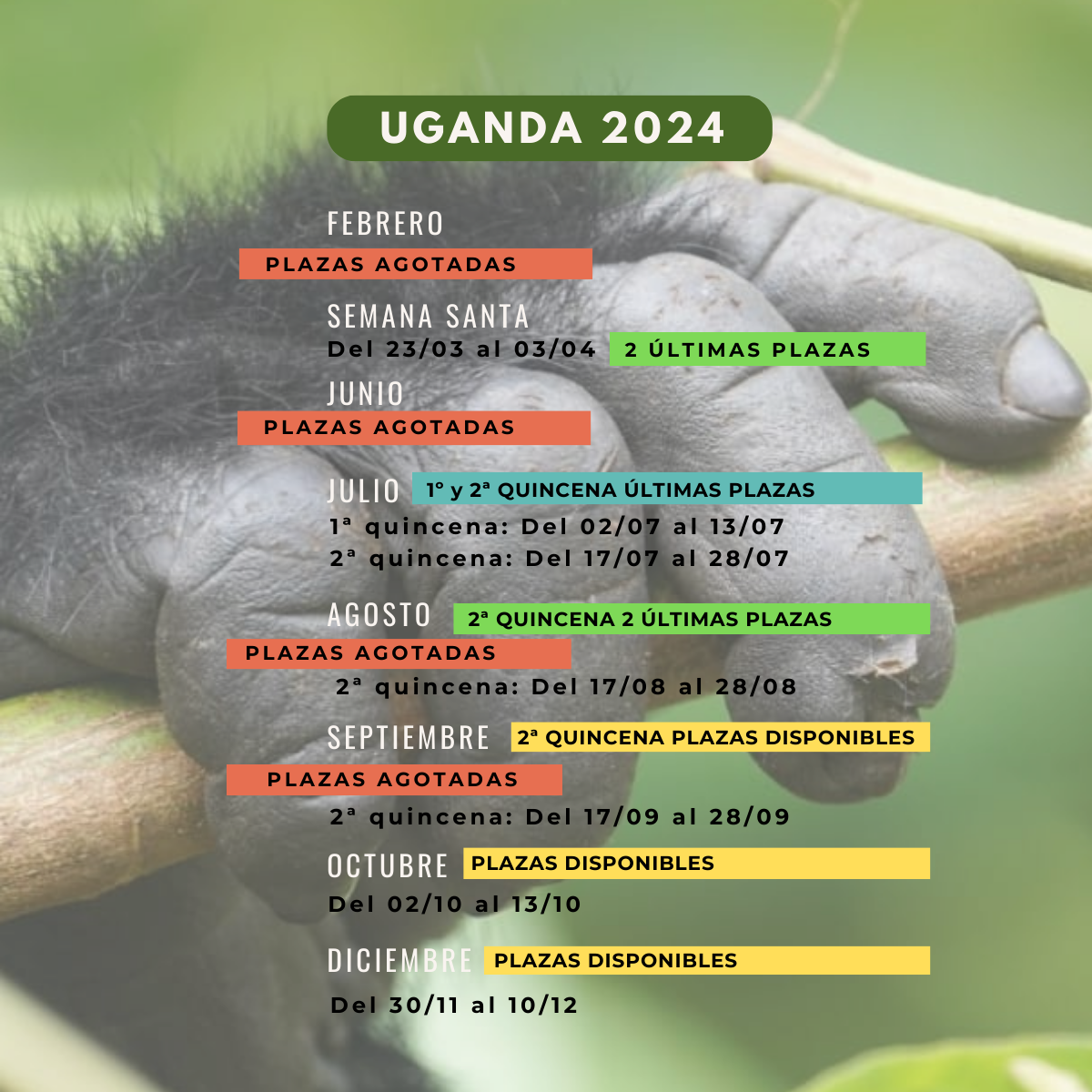 Explora la esencia de Uganda en 2024: Únete a Muzungus para una aventura inolvidable