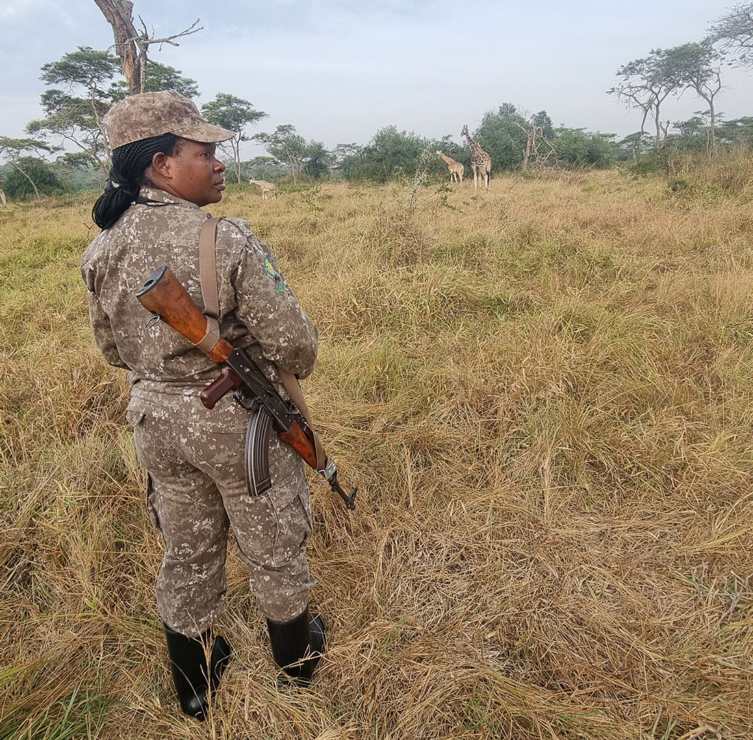 El rol vital de los rangers de seguridad: nuestros guardianes de la naturaleza