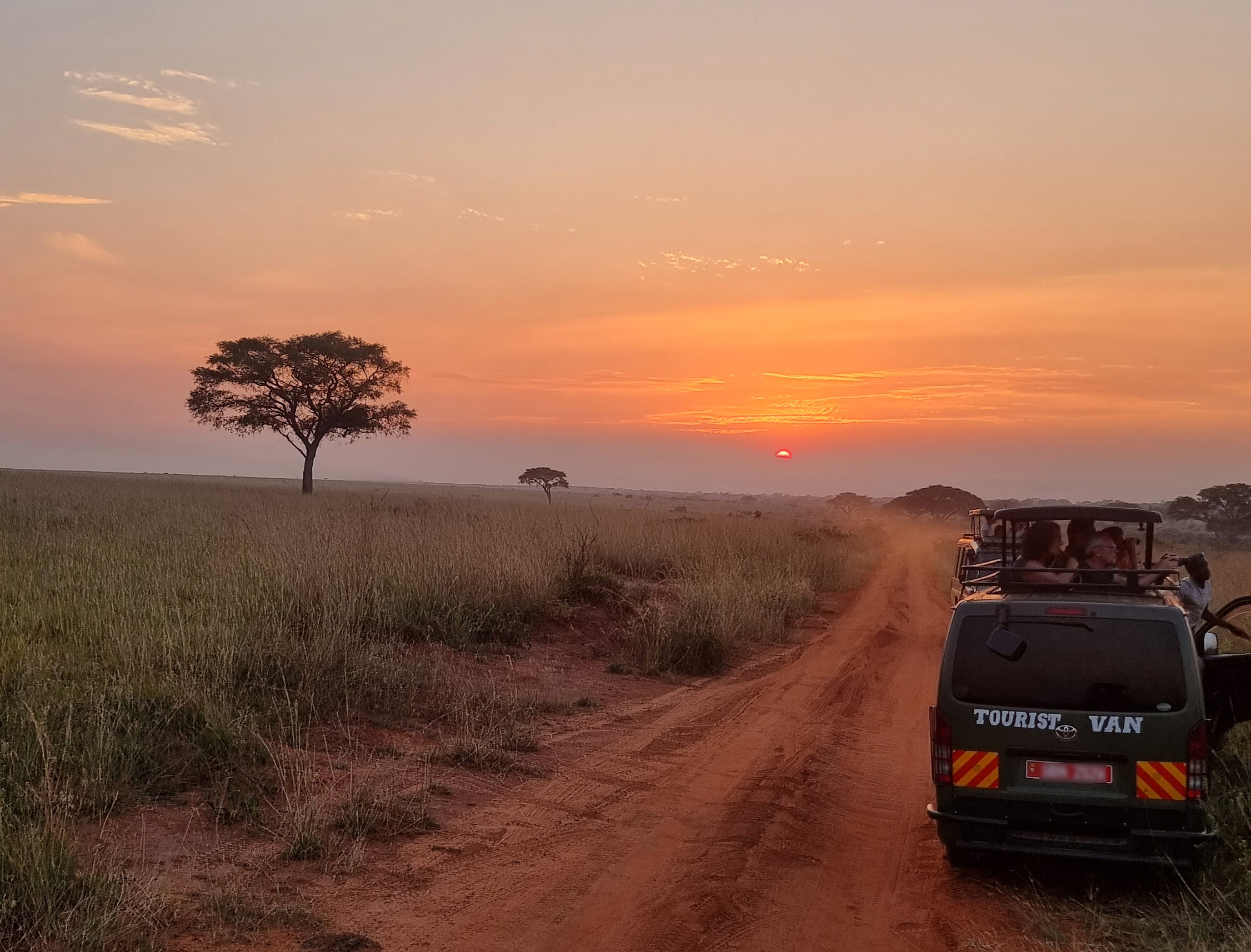 Viaja con conciencia: 10 maneras en que Muzungus promueve el turismo sostenible