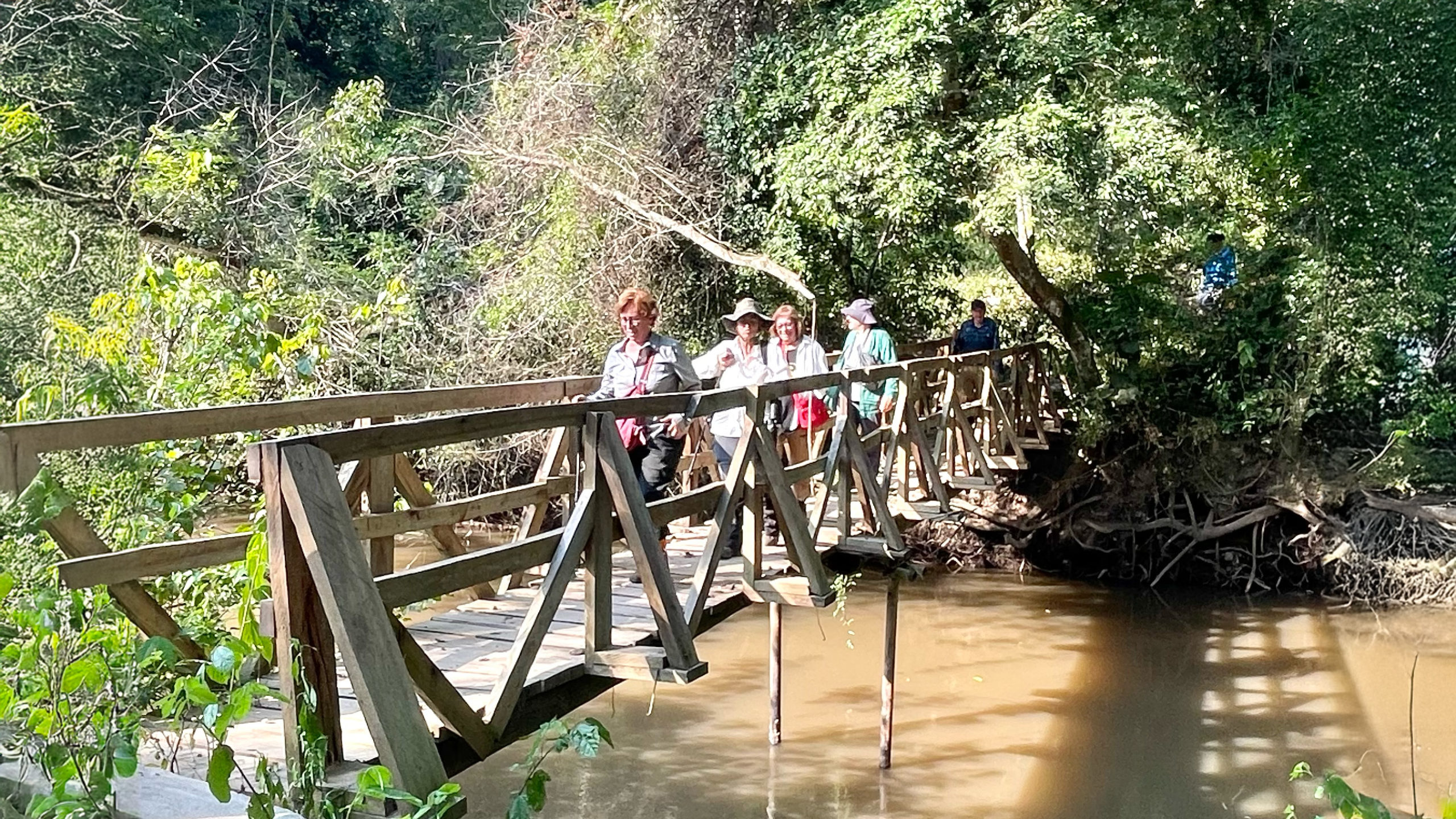 Vente con Muzungus a Kyambura: el valle de los chimpancés