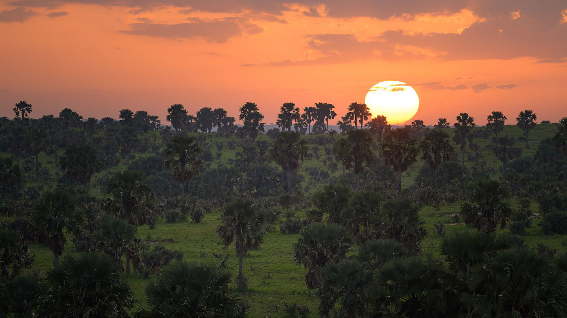 Cielos de África: la experiencia de dormir bajo las estrellas en Uganda