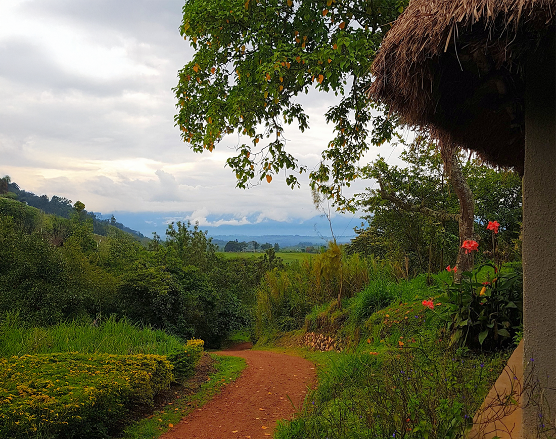 Paisaje ugandés