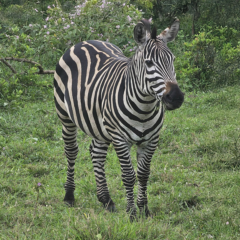 Viaje a Uganda con Muzungus Africa Your Way - Testimonio de Jordi Silvente