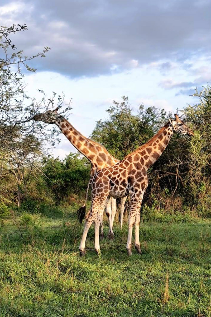 Viaje a Uganda con Muzungus Africa Your Way - Testimonio de Sandra Estrada Casas