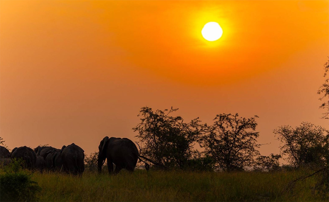 Lo que debes saber antes de viajar a Uganda